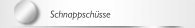 Schnappsch&uuml;sse