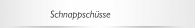 Schnappsch&uuml;sse