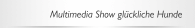 Multimedia Show gl&uuml;ckliche Hunde